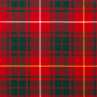 Reiver Light Weight Tartan Fabric - Bruce Modern